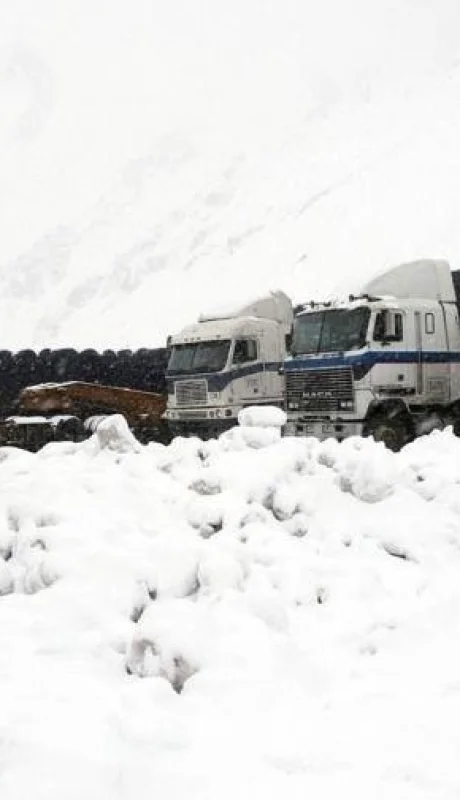 62caf68a238ce-900-jpg.