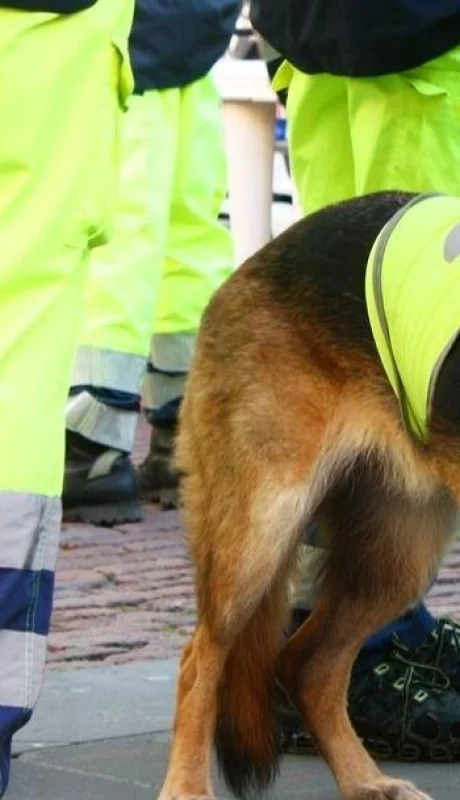 shutterstock-63372523-jpg.