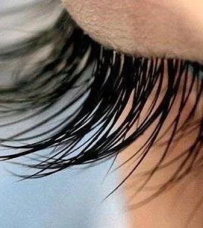 7f51a9e01b5c6f754b6bdc2a31e59de6-jpg.