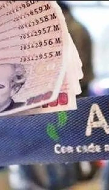 bono-septiembre-anses-auh-jpg.