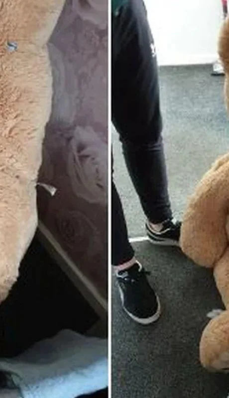 klpfbieopbdopp6feef4kwiy5q-jpg.