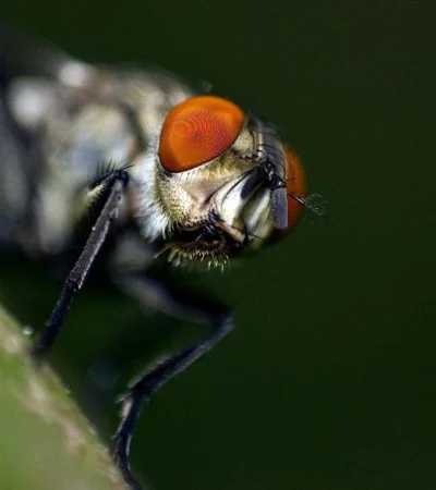 pexels-denitsa-kireva-12373872-jpg.