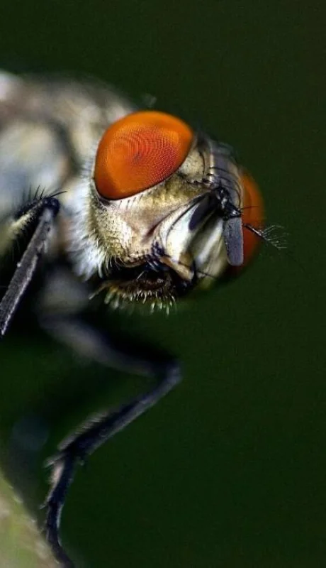 pexels-denitsa-kireva-12373872-jpg.