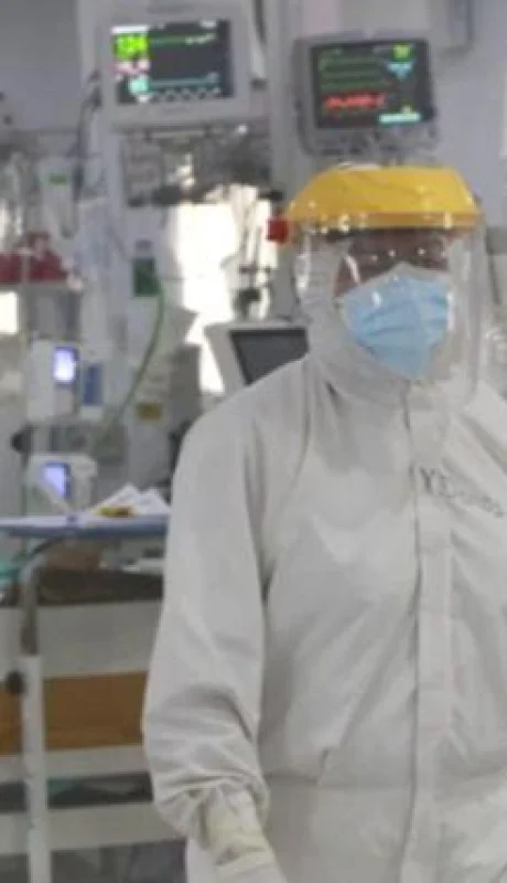 virus-tucuman-muertos-infeccion-causa-malbran-png.