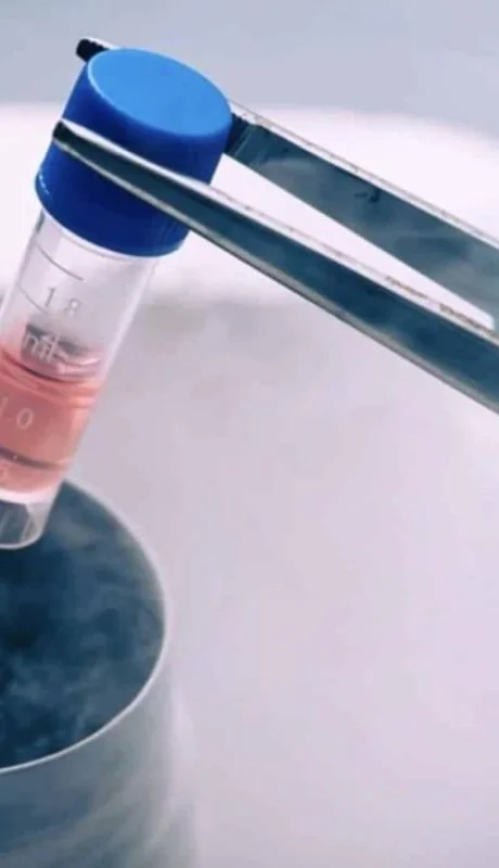 congelar-ovulos-jpg.