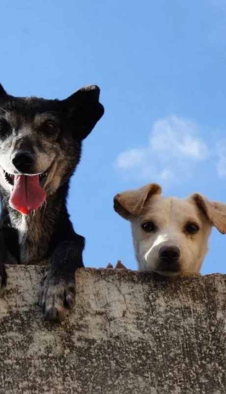 pexels-edgar-daniel-hernandez-cervantes-3628100-jpg.