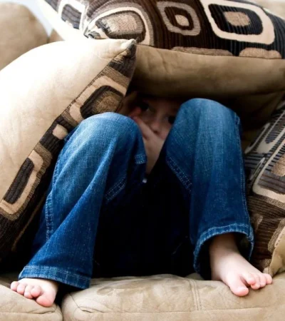 pexels-pixabay-262103-jpg.