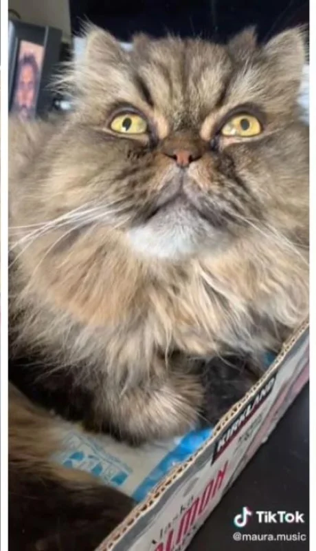 diseno-sin-titulo---2022-08-22t130228-849-png.