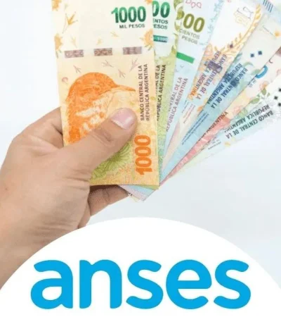 bonus-anses-asignacion-jpg.