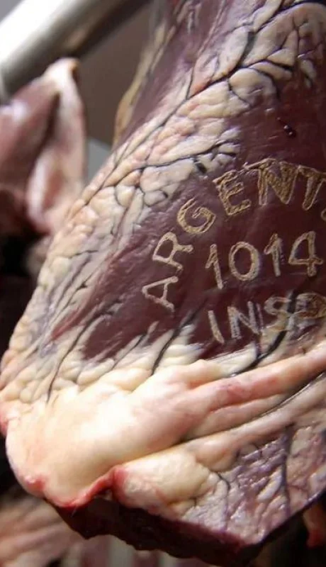 Los aranceles del 10% que impuso Estados Unidos afectará la exportación de carne