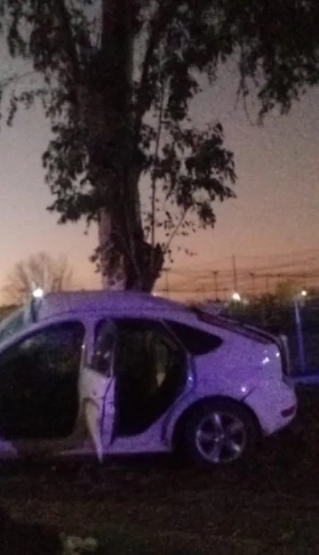 0e254d25-756d-4260-a12c-f72372de8177-jpeg.