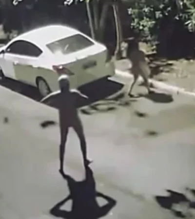 18d15bc4-3e54-4d7a-b61a-2b9cbc436ec4-jpg.