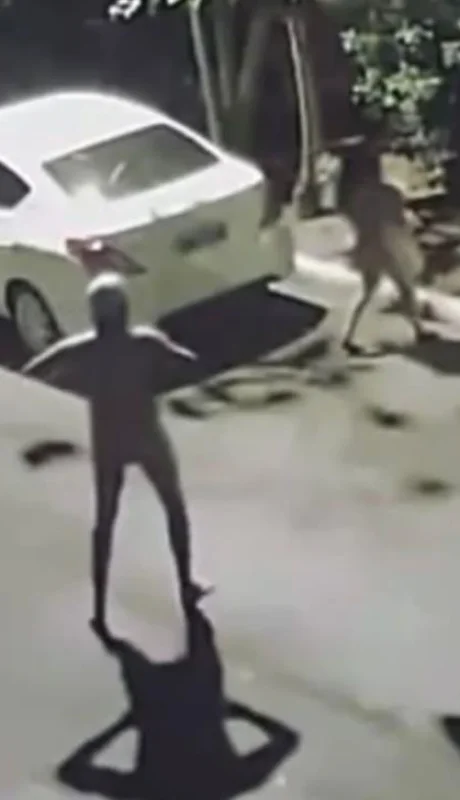 18d15bc4-3e54-4d7a-b61a-2b9cbc436ec4-jpg.