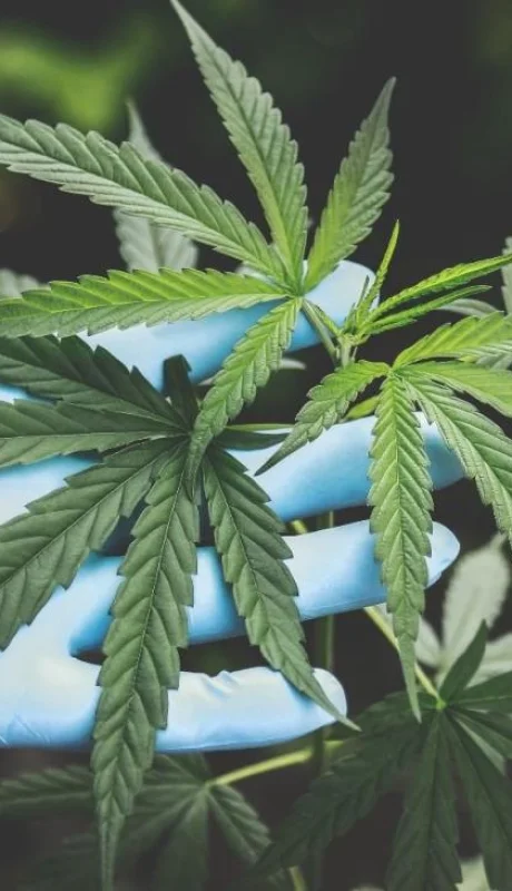 pexels-aphiwat-chuangchoem-2178565-jpg.