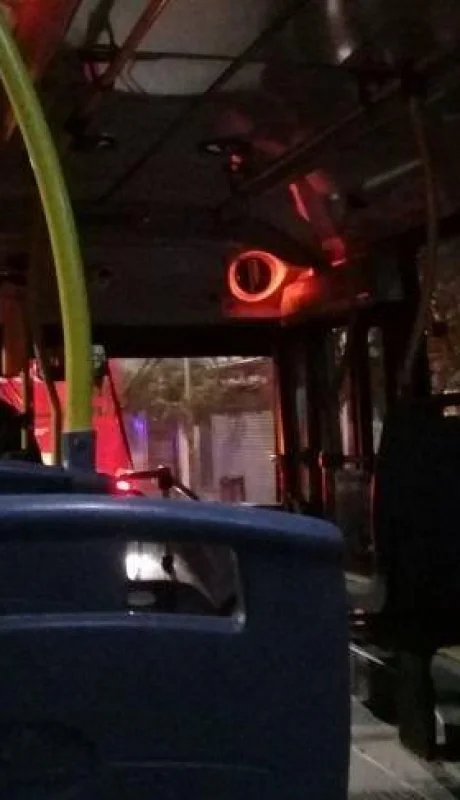 interior-colectivo-noche-1-jpg.
