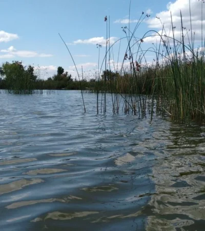 lagun-de-soria-8-scaled