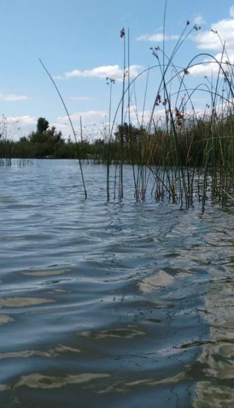 lagun-de-soria-8-scaled