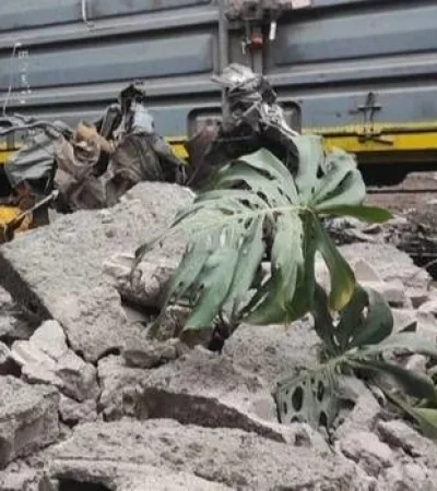 tren-arrolla-y-descuartiza-a-tres-personas-i-jpg.