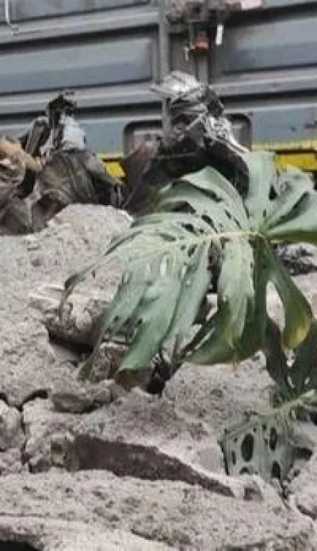 tren-arrolla-y-descuartiza-a-tres-personas-i-jpg.