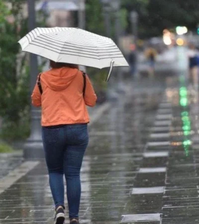 1be11e89-b5ba-4b36-8fc0-ddebd865772a-jpeg.