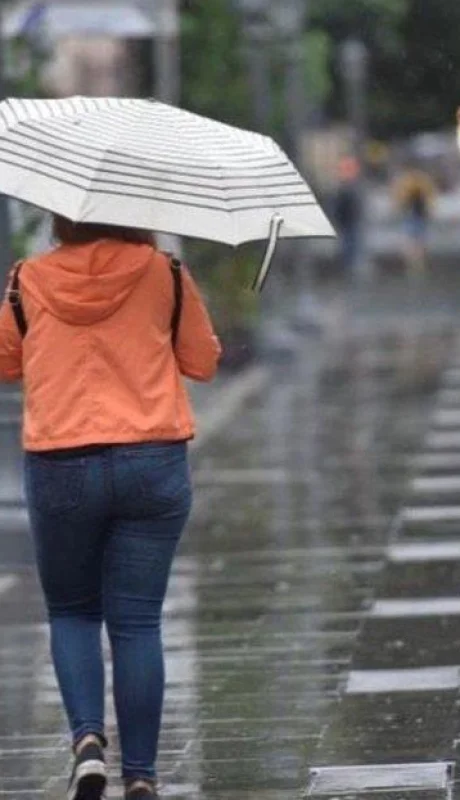 1be11e89-b5ba-4b36-8fc0-ddebd865772a-jpeg.