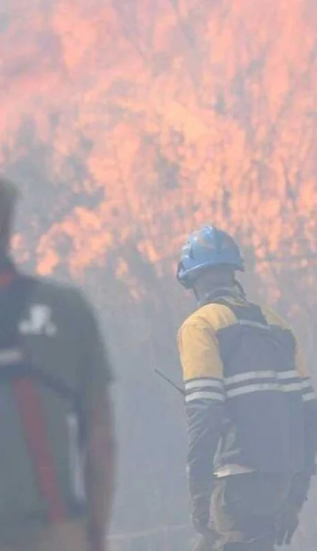 q7x3kwpc3bfjrpfzpwovaj5zjq-jpg.