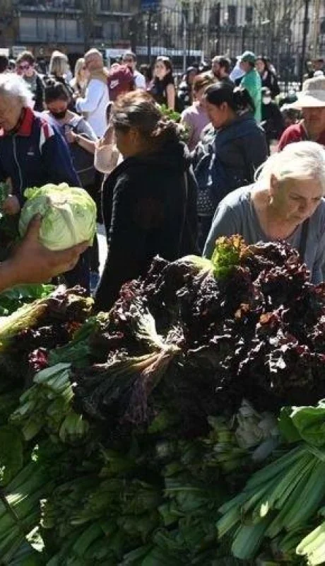 63176b3b2591d-900-jpg.