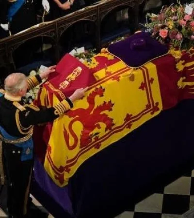 28e86b1fc31f82a51b92794e55408821-jpeg.