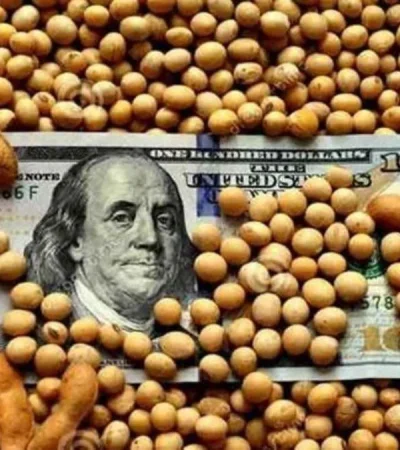 dolar-soja-01-jpg.