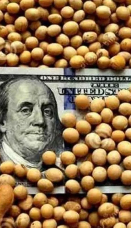 dolar-soja-01-jpg.