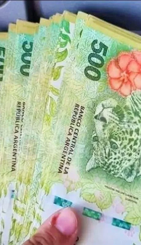 como-cobrar-puente-empleo-auh-jpg.