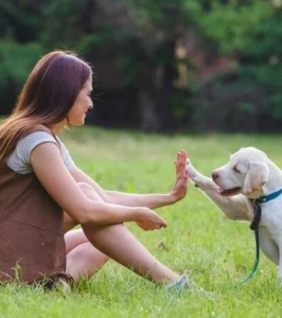 pasear-con-perros-jpeg.