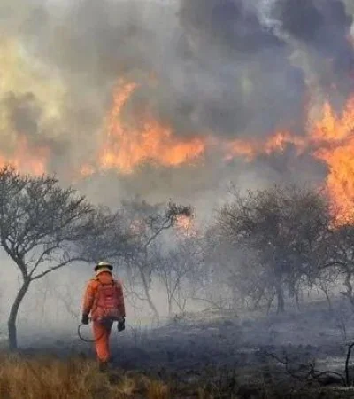 incendio-x2x-1-crop1662581073896-jpg.