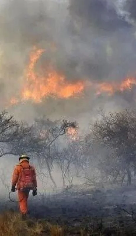 incendio-x2x-1-crop1662581073896-jpg.