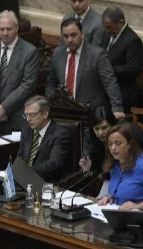 diputados-repudio-atentado-cristina-jpg.