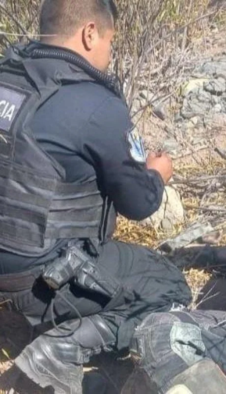 86db8c3a-403a-456b-ae47-e462f523d272-jpeg.