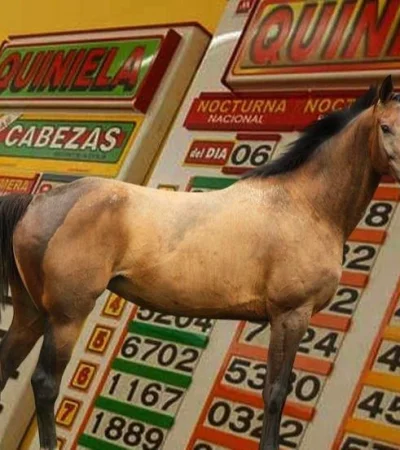 Animales que traen suerte: guía práctica para jugadores de quiniela.