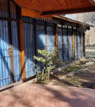 whatsapp-image-2022-09-01-at-10-15-54-jpeg.