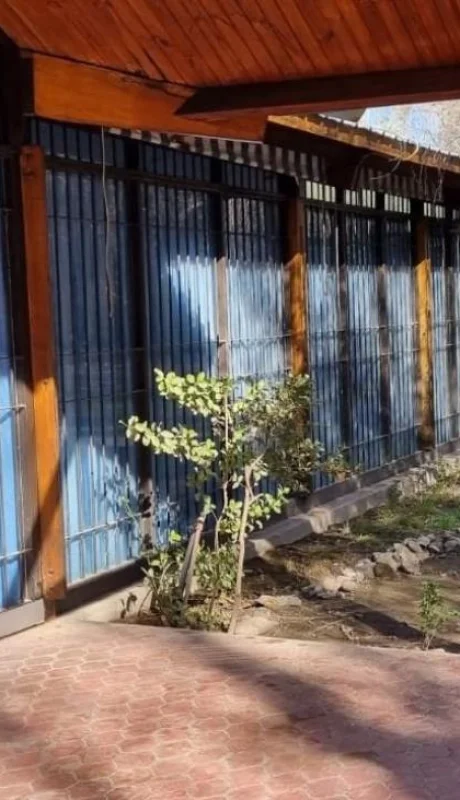 whatsapp-image-2022-09-01-at-10-15-54-jpeg.