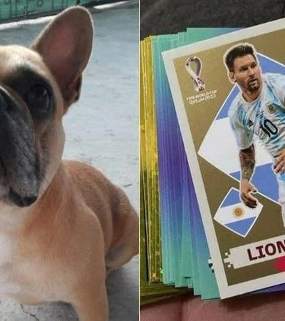 perro-figuritas-jpg-jpg.