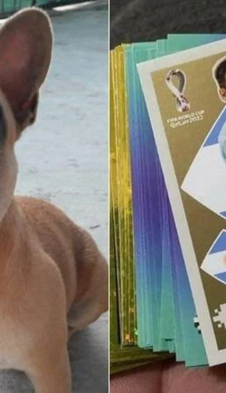 perro-figuritas-jpg-jpg.