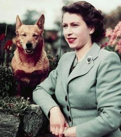 efbd4a05cebcce9fa86b827e5f29b3d5-jpg.