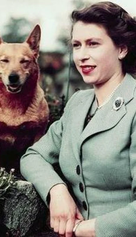 efbd4a05cebcce9fa86b827e5f29b3d5-jpg.