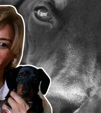 portada-ingeniera-jpg.