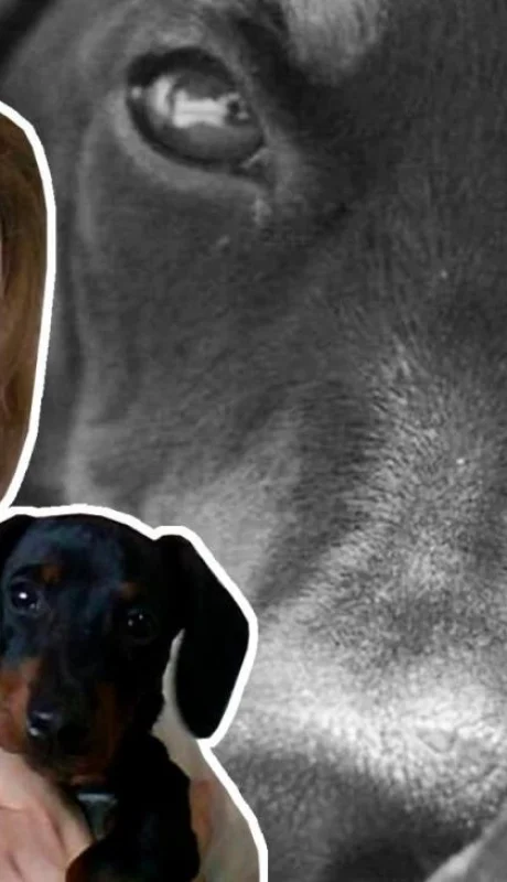 portada-ingeniera-jpg.