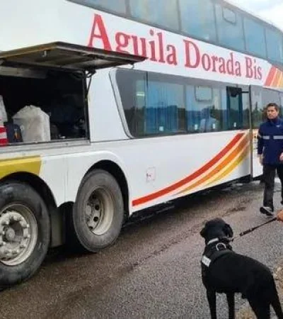 aduana-contrabando-jpg.