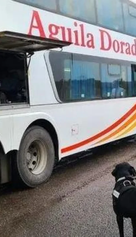 aduana-contrabando-jpg.