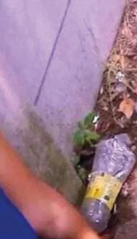 cristina-belen-perez-1-jpg.