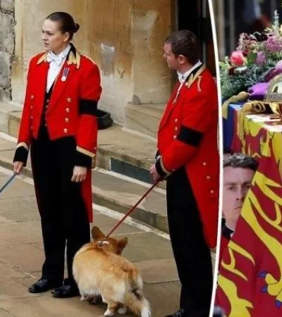 medium-2022-09-19-4a3a2a98d3-jpg.