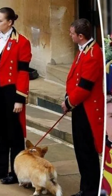 medium-2022-09-19-4a3a2a98d3-jpg.